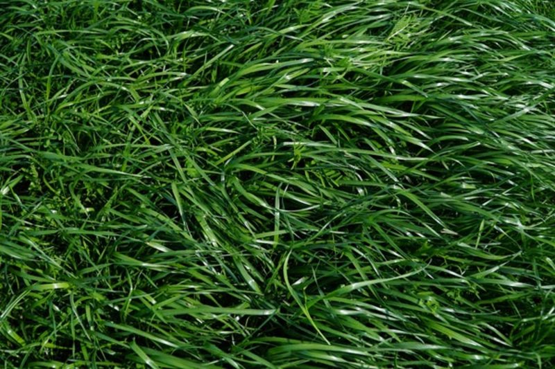 fot_3_newsletter (1).jpg